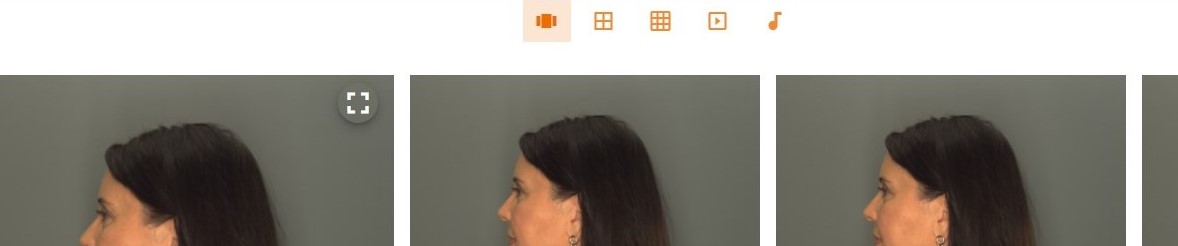 Capture Review Icons